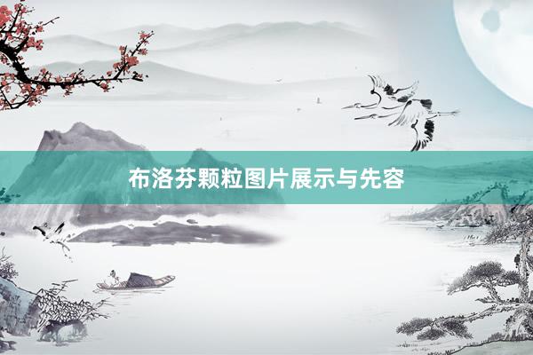布洛芬颗粒图片展示与先容